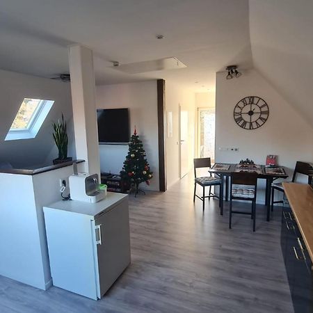 Ferienwohnung Richter Пирна Екстериор снимка